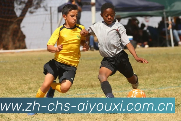 爱游戏平台生态图